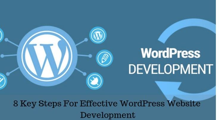 8 Key Steps For Effective WordPress Website Development